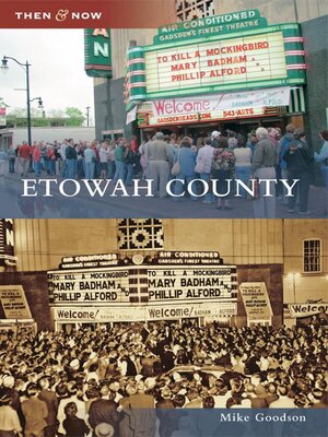 cover image of Etowah County
